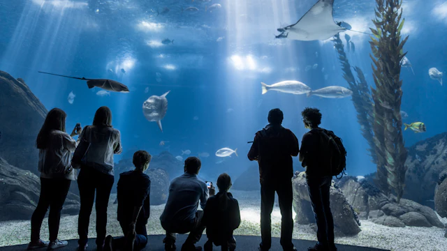 リスボン海洋水族館
